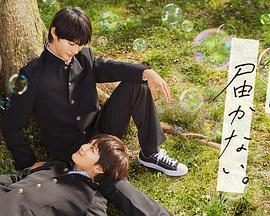 佐伊社视频网页海报剧照